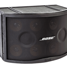 Bose 802 Serie III Panaray Speaker