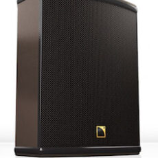 L-Acoustics 12XT Luidspreker