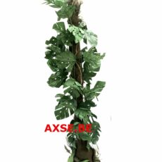 Plant huren